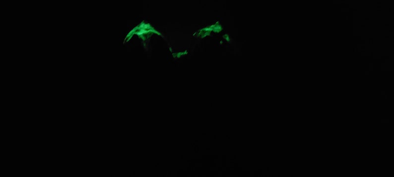 K&ouml;nnte beinhalten: Zwei leuchtend gr&uuml;ne Formen im Dunkeln, die wie ein Paar Augen aussehen.