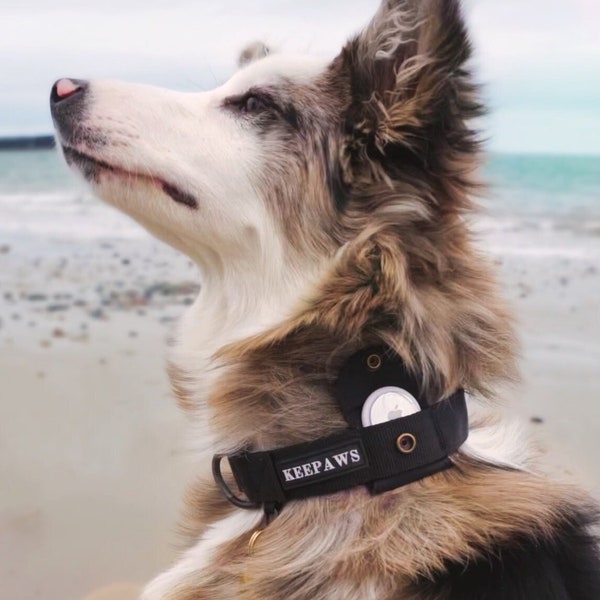 Keepaws™ Tactical AirTag Collar