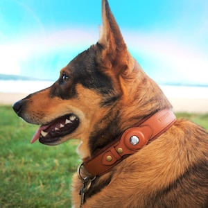 Keepaws™ Leather AirTag Collar image 3