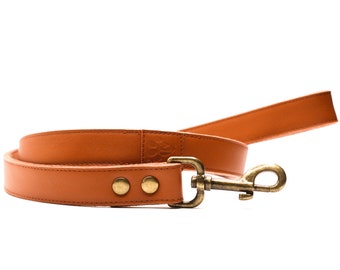 Keepaws™ Leather Leash