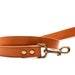 see more listings in the Leashes section