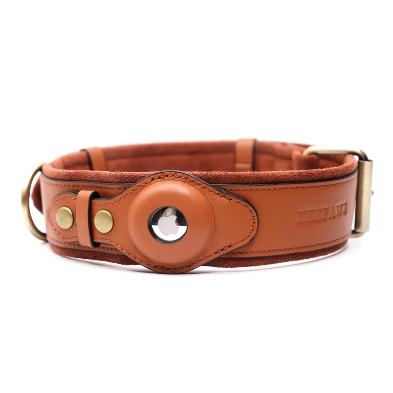 Keepaws™ Leather Airtag Collar Personalizable Dog Leather Etsy