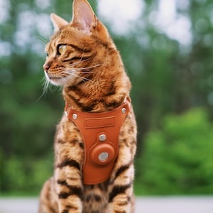 Keepaws™ AirTag Cat Harness