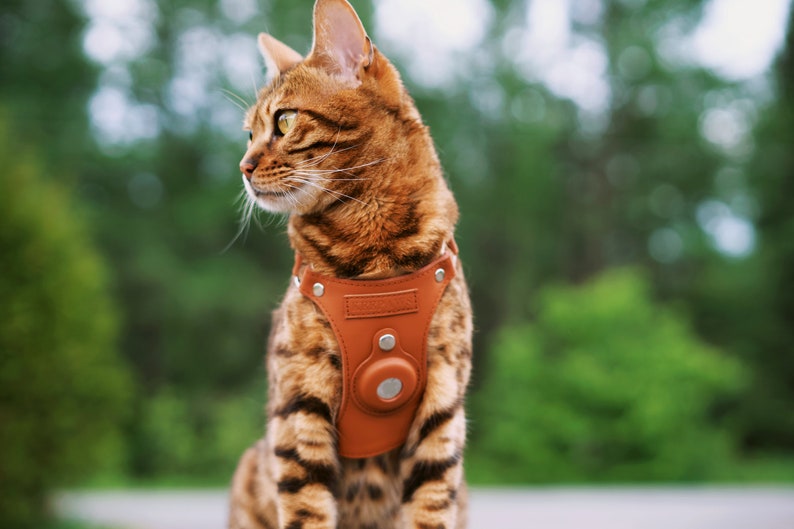 Keepaws™ Airtag Cat Harness Leather Cat Harness Compatible Etsy