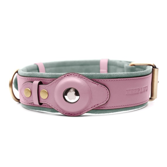 Collier pour chien en cuir avec AirTag Holder Heavy Duty Premium