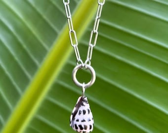 Hebrew Cone Shell + Sterling Silver necklace