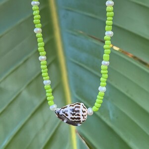 Puede incluir: Un collar de cuentas con un patrón repetitivo de pequeñas cuentas cilíndricas de color verde lima vibrante y diminutas cuentas esféricas blancas. Una sola concha cónica con un patrón moteado marrón y blanco es el punto central.