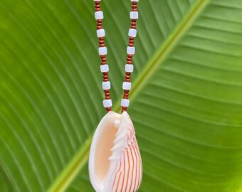 Striped Volute Shell necklace