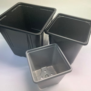 May include: Three black square plastic plant pots of different sizes. The pots have a tapered design and a slightly textured surface. The smallest pot is grey and has drainage holes in the base.