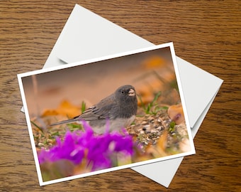 Bird Photo Greeting Card (B12), blank inside, with envelope