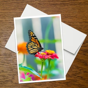 Monarch Butterfly Photo Greeting Card (C9), blank inside, with envelope