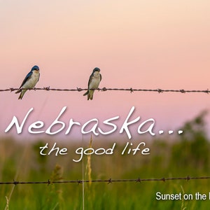Nebraska the Good Life Photo Magnet- Birds at Sunset