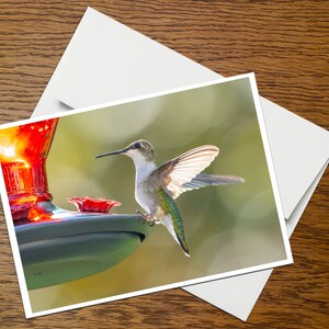 Puede incluir: Un colibrí con las alas extendidas se posa en un comedero rojo para colibríes. El pájaro está mirando hacia la derecha y tiene un cuerpo verde y blanco con un pico largo y delgado.