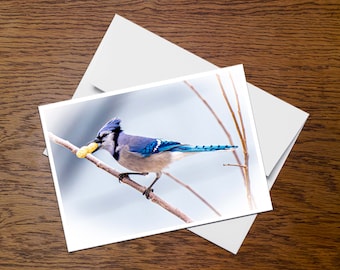 Wee Blue Coo Koi Fish Painting Greetings Card With Envelope - View #12
