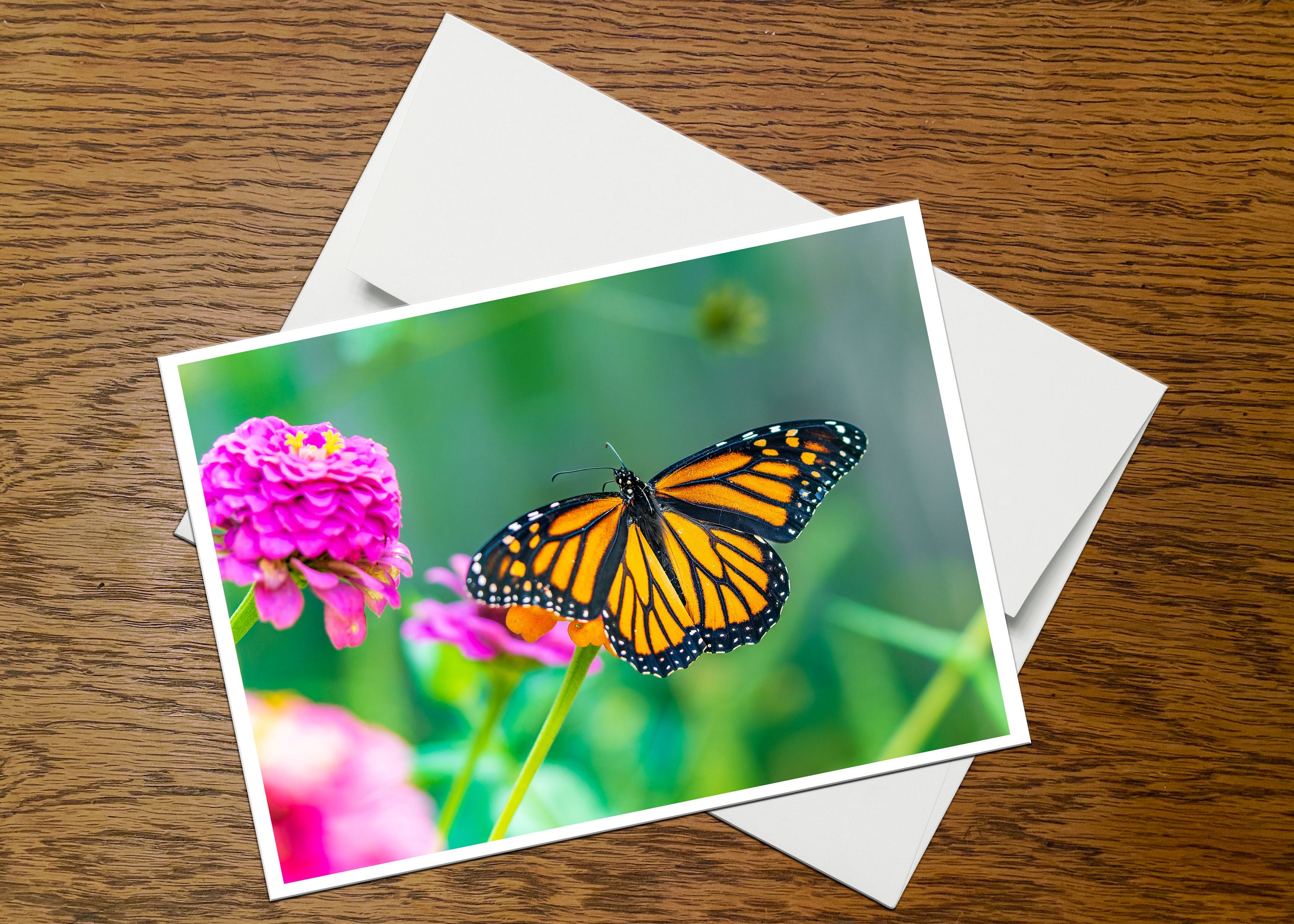Monarch Butterfly Photo Greeting Card (C6), Blank Inside, With Envelope ...