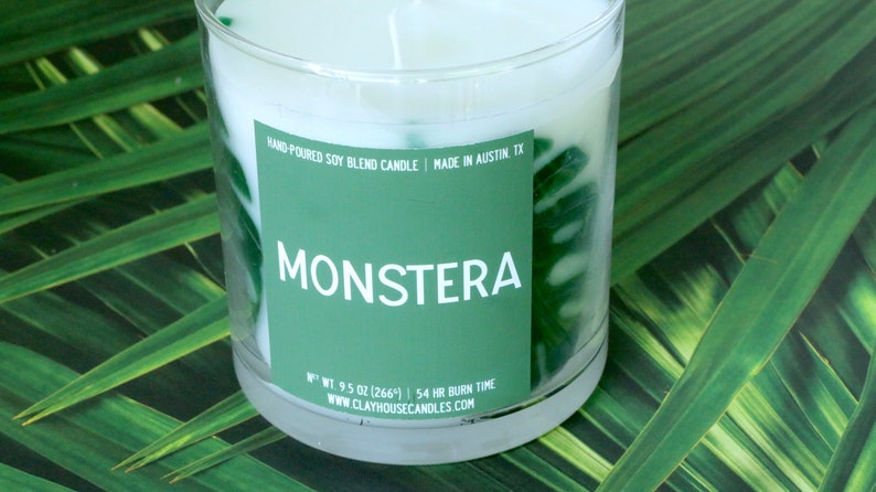 Bougie de récipient parfumée de feuilles de Monstera, papa de maman de plante damant de plante, cadeaux pour elle lui, jour de la terre de mois de la terre, fête des mères, Monstera Albo image 6