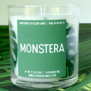 Bougie de récipient parfumée de feuilles de Monstera, papa de maman de plante damant de plante, cadeaux pour elle lui, jour de la terre de mois de la terre, fête des mères, Monstera Albo image 5