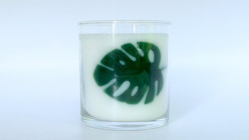 Monstera Leaves Scented Container Candle, Plant Lover Plant Mom Dad, Gifts for Her Him, Earth Month Earth Day, Mother's Day, Monstera Albo image 9