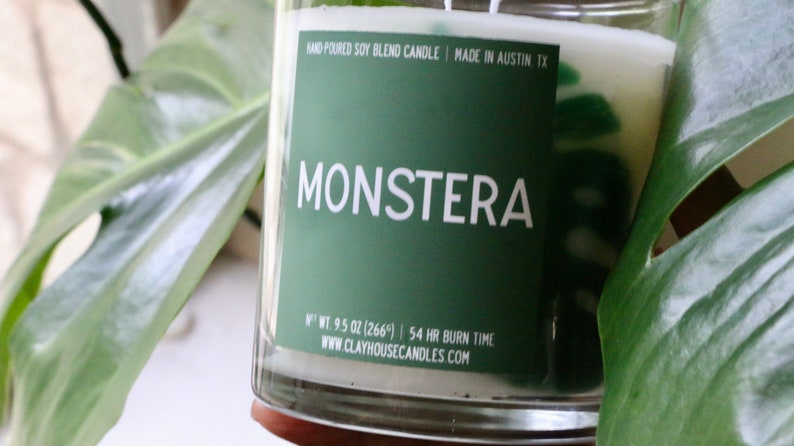 Monstera Leaves Scented Container Candle, Plant Lover Plant Mom Dad, Gifts for Her Him, Earth Month Earth Day, Mother's Day, Monstera Albo image 10