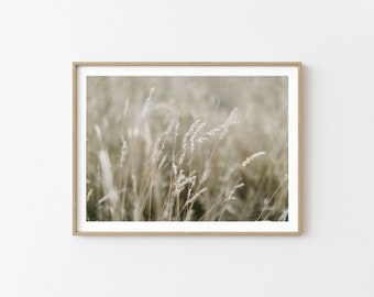 May include: A close-up photograph of a field of tall, dried grasses with a soft, muted color palette. The grasses are a light beige and brown, and the background is a blurry, out-of-focus beige.