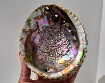 Handpicked Abalone Shell: Incense Holder, Smudge Bowl (6-7 inch)