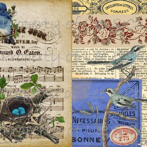 DIGITAL DOWNLOAD--Periwinkle Joy 7 Blätter für Junk Journaling---Katzen, Karten, Vögel und Musik Tags und Layouts