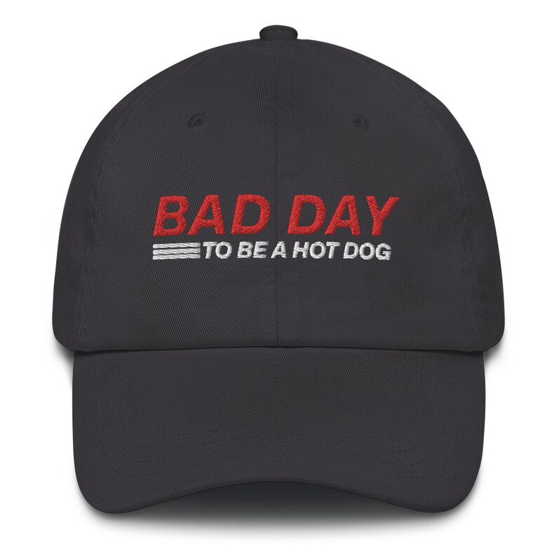 Bad Day To Be a Hot Dog Hat, Funny Dad Hat, Costco, Kirkland Signature, All Beef Hot Dog