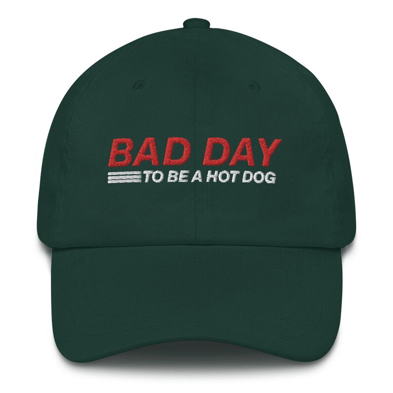 Bad Day To Be a Hot Dog Hat, Funny Dad Hat, Costco, Kirkland Signature, All Beef Hot Dog
