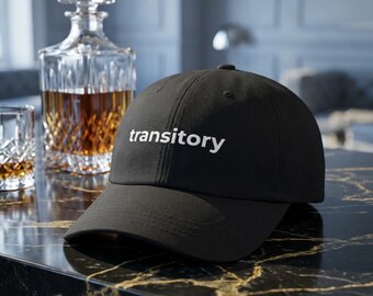Transitory Embroidered Dad Hat - Finance Humor Gift for Traders and Investors