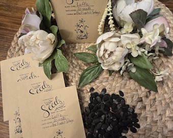 Luffa Seed; Luffa; Flowering Seeds; Luffa Seeds; Sponge Seeds; Seeds; Natural Sponge Seeds