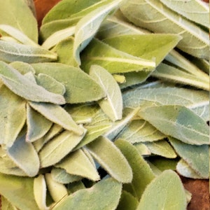 Mullein, Common (Verbascum thapsus) Seeds; Medicinal Seeds; Medicinal Herb; Herb