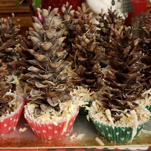 Fire Starters; Pinecone; Pinecones; Fireplace; Firepit; Festive; Gift Idea