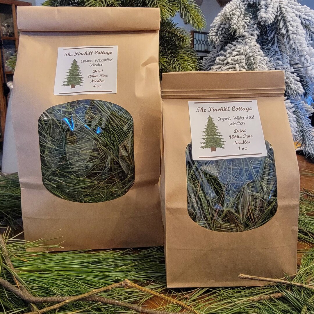 Organic White Pine Needle Tea Pine Needle Tea Pine Needles Etsy