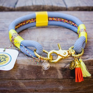Yellow dog gear hotsell