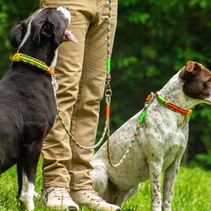 Op de afbeelding: Twee honden met kleurrijke gevlochten halsbanden en bijpassende riemen worden vastgehouden door een persoon in een kaki broek en een grijze hoodie. De honden staan op een grasveld. De riemen en halsbanden hebben oranje, groene, gele en blauwe accenten.