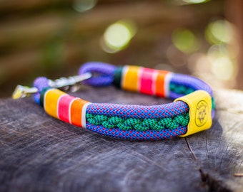 Handmade Braided Rope Dog Collar: Colorful Paracord Collar