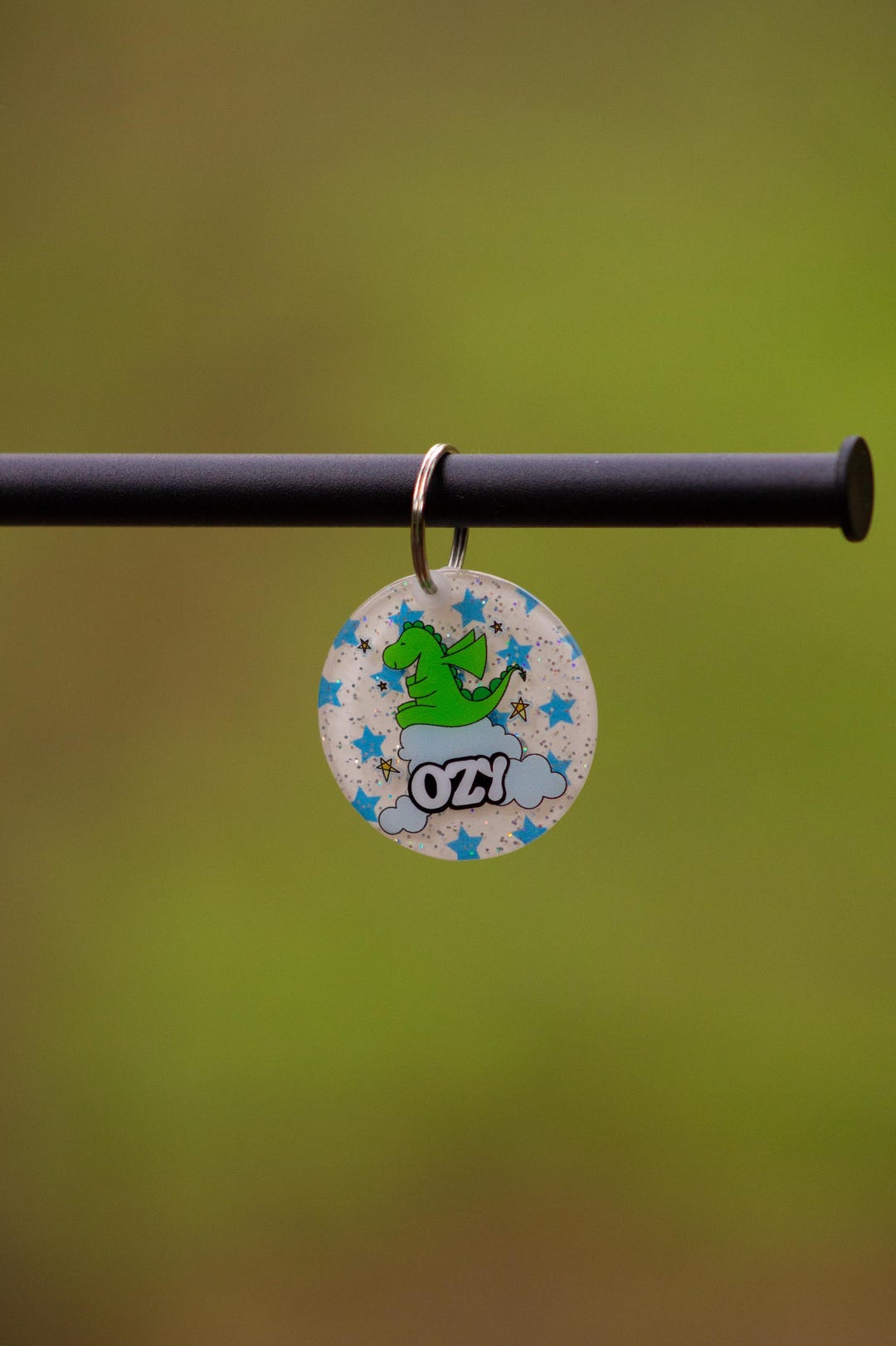 Dinosaur Dog ID Tag, Acrylic Pet Name Tag - Etsy