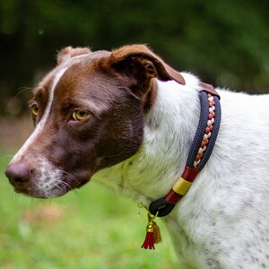 Collar para perro de cuerda trenzada hecho a mano: Marrón y negro Outdoor Gear imagen 6