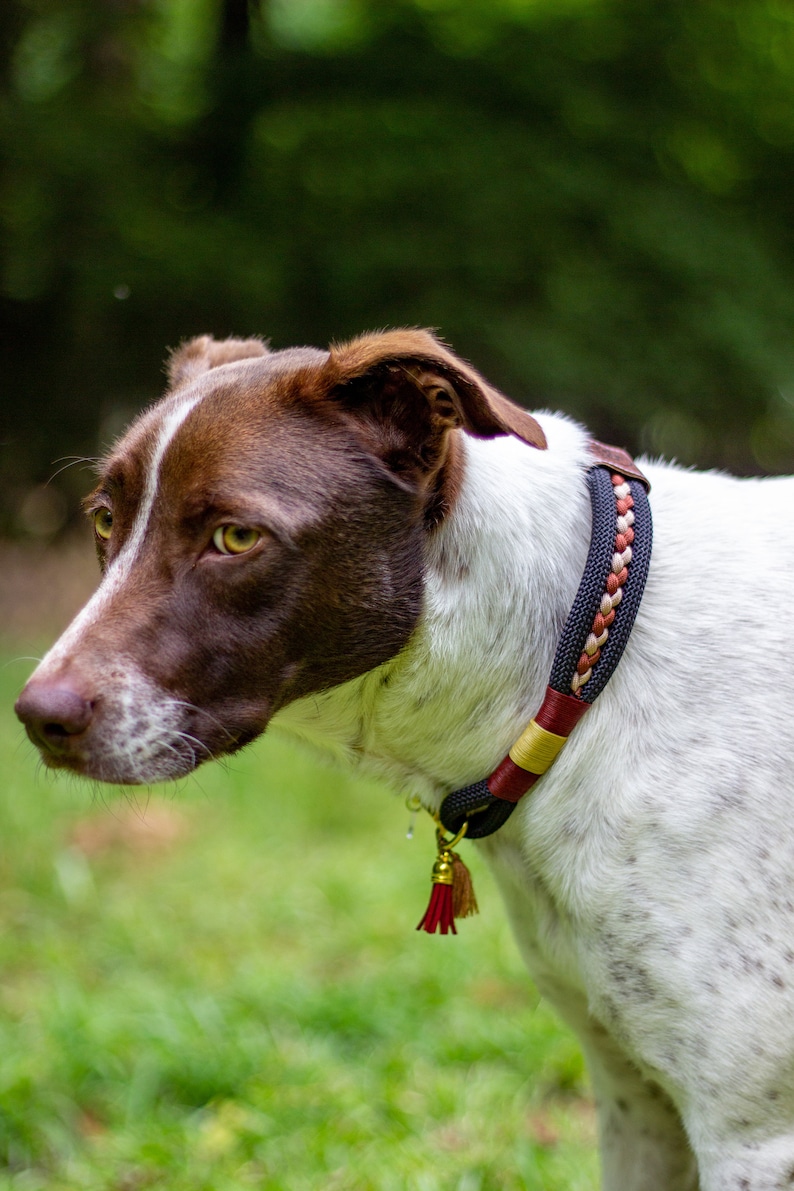 Collar para perro de cuerda trenzada hecho a mano: Marrón y negro Outdoor Gear imagen 6