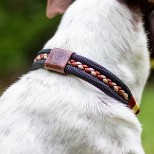 Puede incluir: Un collar para perros con un dise&ntilde;o trenzado en negro, marr&oacute;n y beige. El collar presenta un parche de cuero marr&oacute;n con un dise&ntilde;o en relieve. El collar est&aacute; alrededor del cuello del perro, con un fondo verde borroso.