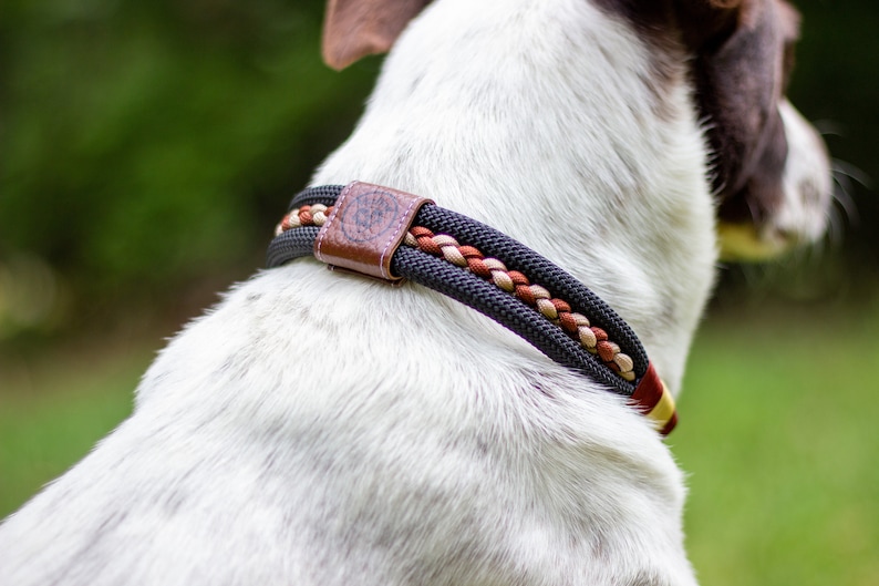 Puede incluir: Un collar para perros con un dise&ntilde;o trenzado en negro, marr&oacute;n y beige. El collar presenta un parche de cuero marr&oacute;n con un dise&ntilde;o en relieve. El collar est&aacute; alrededor del cuello del perro, con un fondo verde borroso.