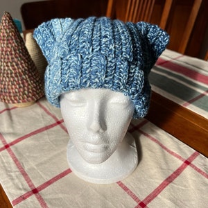 Crochet Cat Beanie | Ribbed Crochet Beanie | Hat With Ears | One Size | Adult Beanie