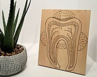 Holz gebrannte Wandbehang Kunst Zahn Diagramm