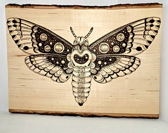 Moth Wood Burned Wall Hanging Art