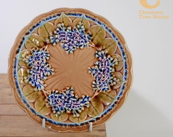 Antique Villeroy & Boch Schaumburg Floral Plate 1241 7