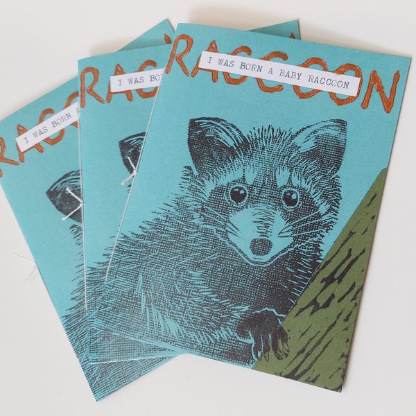 I Was Born A Baby Raccoon - Zine