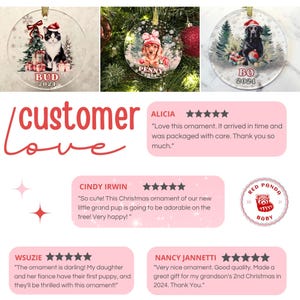 May include: Three circular clear acrylic Christmas ornaments featuring illustrations of pets wearing Santa hats. One shows a black and white cat named Bud, one a dachshund named Penny, and one a black dog named Bo, all dated 2024 with gift boxes.