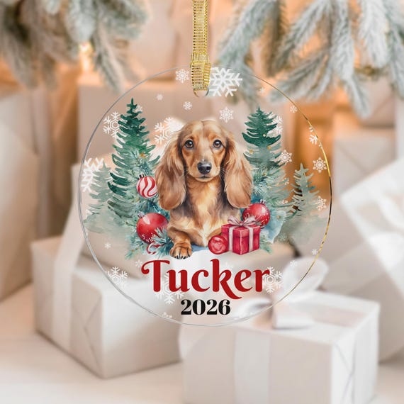 Personalized Long Haired Dachshund Ornament, Dachshund Mom Gift, Doxie Christmas Gift, Dachshund Owner Christmas Gift, Custom Dog Keepsake