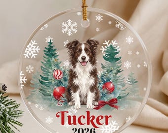 Personalized Brown Border Collie Ornament, Border Collie Gifts, Custom Dog Name Border Collie Christmas Decor
