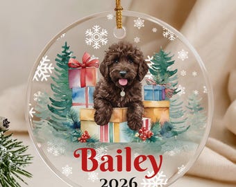 Personalized Chocolate Doodle First Christmas Ornament, Brown Doodle Puppy Gift, Doodle Mom Christmas Gift, Custom Dog Keepsake